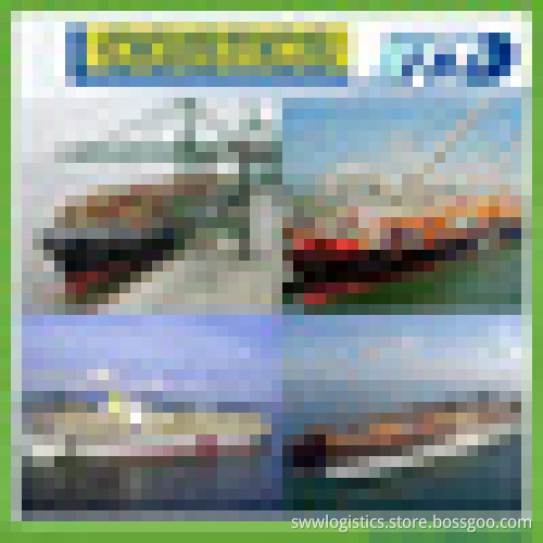 Sea shipping agent from Shanghai to Miami